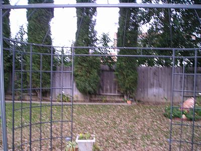 metro1128 profile photo