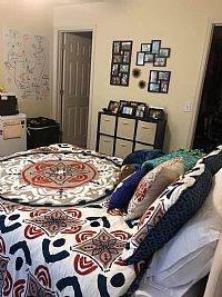 hdison profile photo