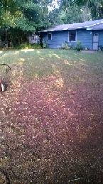 possum826 profile photo