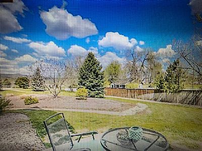 mpettid profile photo