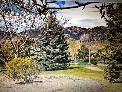 mpettid profile photo