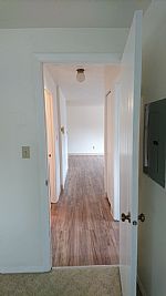 Radeon profile photo