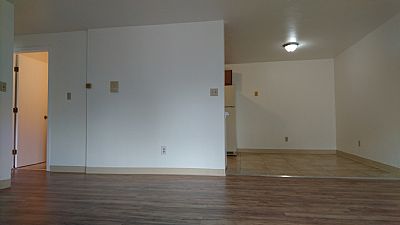 Radeon profile photo