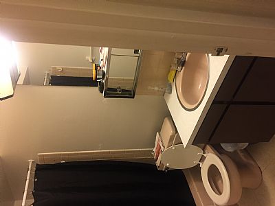 Allieholliday78 profile photo