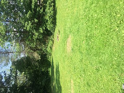 Allieholliday78 profile photo