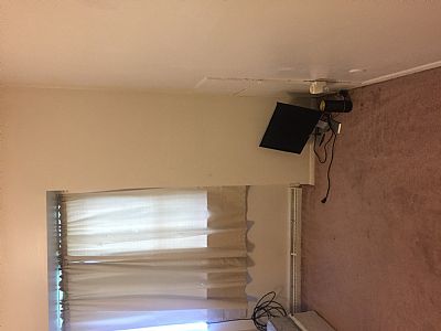 Allieholliday78 profile photo