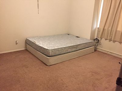 Allieholliday78 profile photo