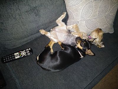 WikkedLove profile photo