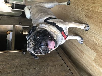 ashros81 profile photo