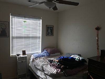 hollybanfield1 profile photo