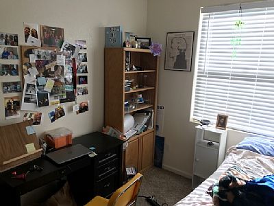 hollybanfield1 profile photo