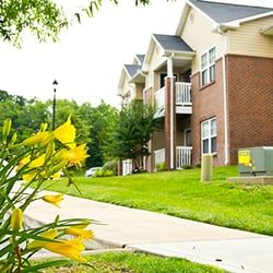 Kolbydenham profile photo