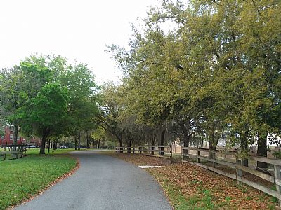 jay4299 profile photo