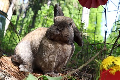 Seracewar profile photo