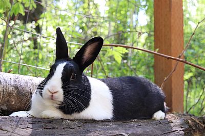 Seracewar profile photo