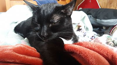 Rofrog1 profile photo