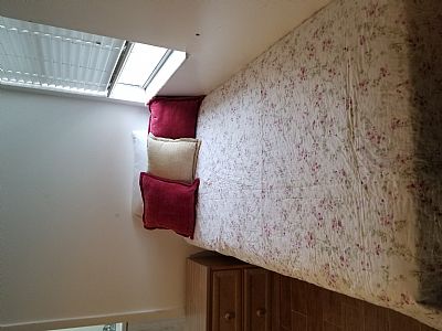 Sue O. profile photo