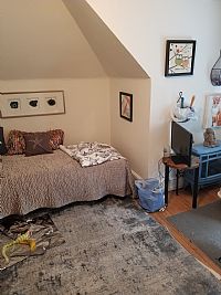 rcboop profile photo