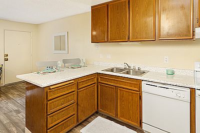 edward-sdsu profile photo