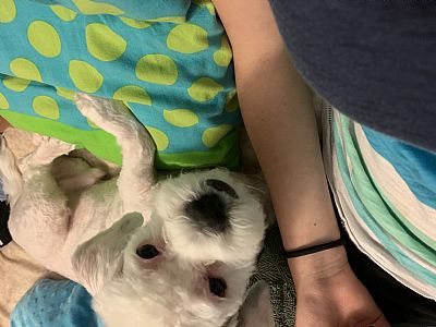 3clock profile photo