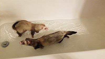 _likethestate profile photo