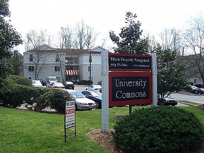 lkinra profile photo