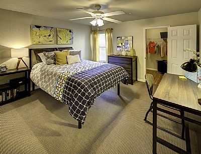 RebeccaRod profile photo