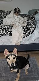 ashleydw profile photo