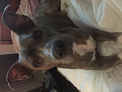 LindsayE profile photo