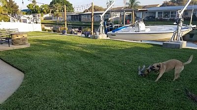 kwhunterufl profile photo