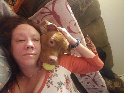 Pattikas12 profile photo