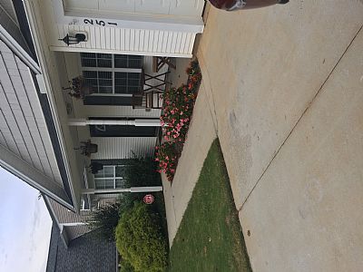 Iotabill profile photo