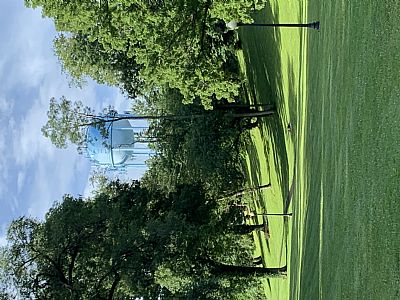 diane0145 profile photo