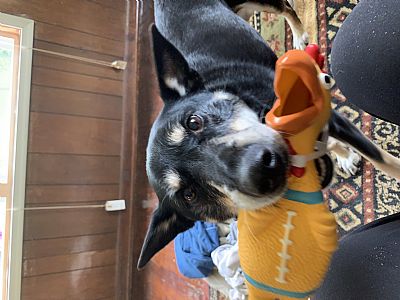 diane0145 profile photo