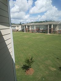 Adrianhutch profile photo