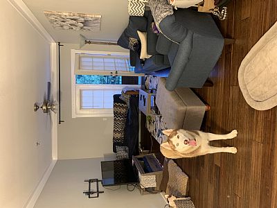 BrandyAck profile photo