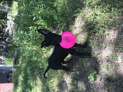 Jimmymiller99 profile photo