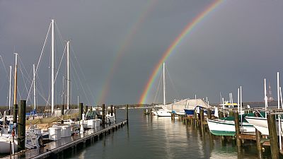 Roomie1! profile photo