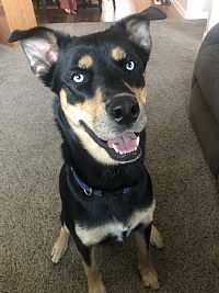 Aj_jones1 profile photo