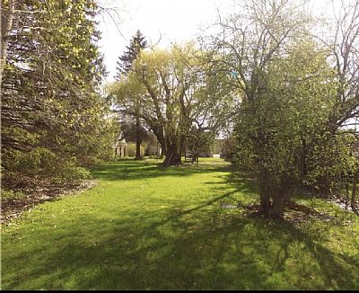 Arelysg profile photo