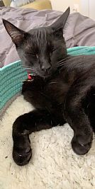 Jordanmarie823 profile photo