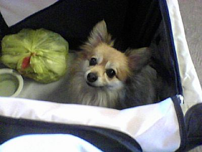 delrayroom profile photo