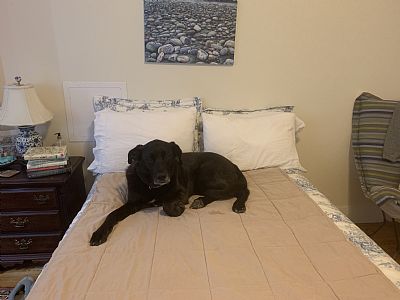 MlleLC profile photo