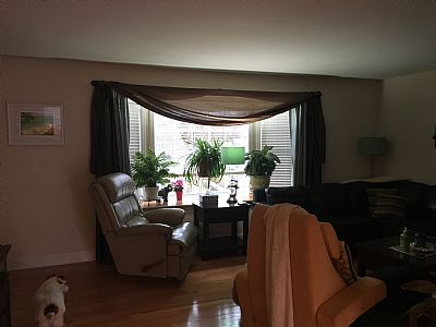 carenz profile photo