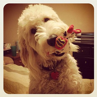 Soni626 profile photo