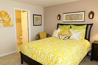 jorelquerido profile photo