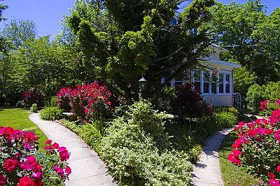 sabrinastough profile photo