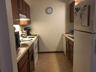 noelmills profile photo