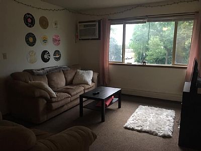 noelmills profile photo