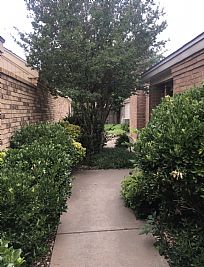 Tamielb1958 profile photo